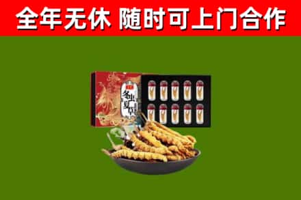 和田市烟酒回收冬虫夏草礼盒.jpg